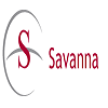 Savanna Well Servicing Inc.